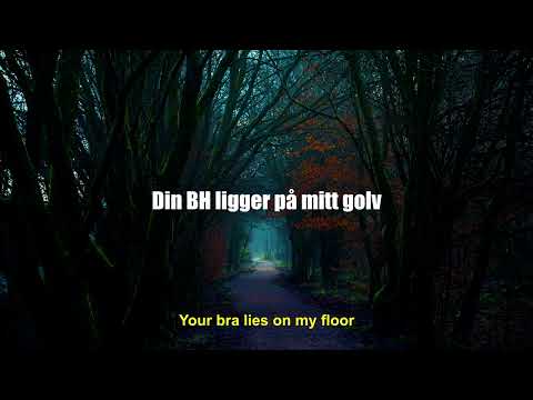 Död Mark - Min Dag (Swedish Lyrics + English Translation)