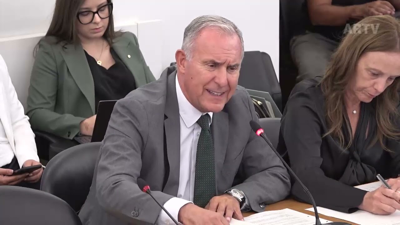 2024 09 13 - Caso Gémeas: Audição do Embaixador Paulo Jorge Nascimento