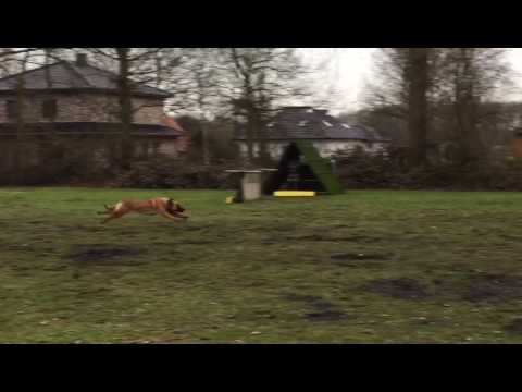 2017 04 18 VIDEO 00000077