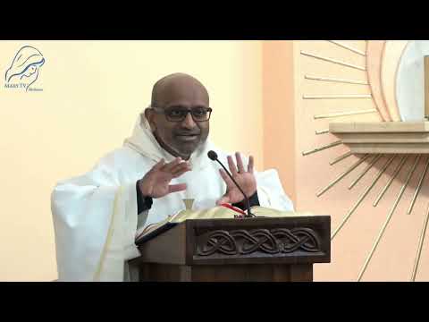 Fr. Leon Pereira | English Homily from Medjugorje | January 28, 2026 MaryTV