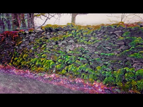 LSD trippy visuals 4k | Magical Stroll