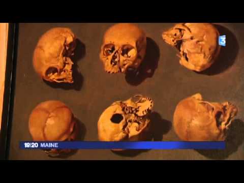 Guy Brunet, portrait d'artiste