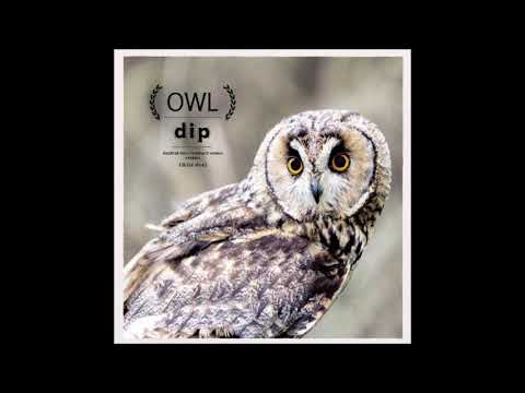 download lagu mp3 mp4 Dip Owl, download lagu Dip Owl gratis, unduh video klip Dip Owl