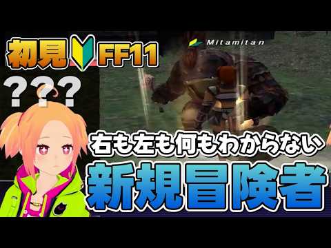 23周年のMMOを初見プレイ