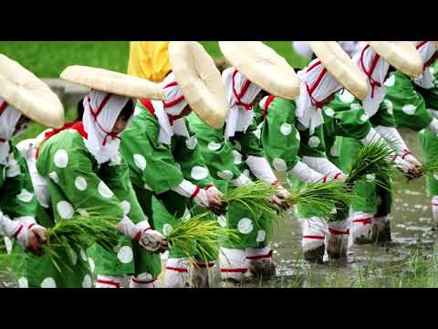 ～夏は来ぬ～
