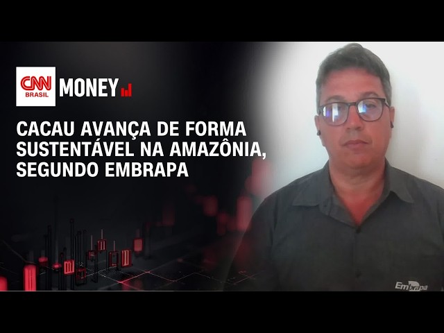 Cacau avança de forma sustentável na Amazônia, segundo Embrapa | CNN AGRO NEWS