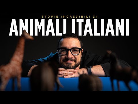 Quattro storie INCREDIBILI di ANIMALI ITALIANI