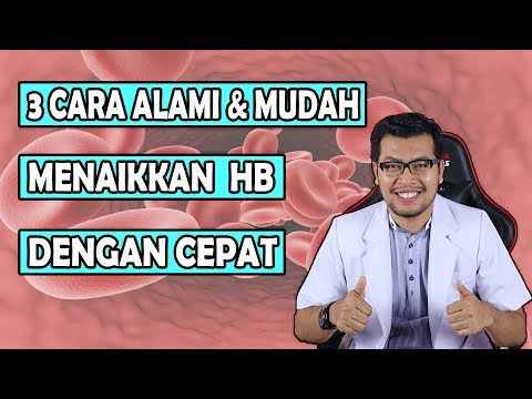 , title : '3 Cara Menaikan HB/Hemoglobin Rendah Pada Ibu Hamil'