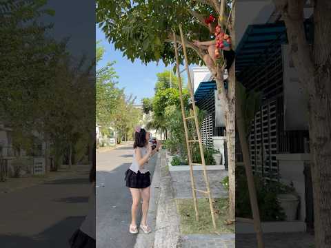 Kindness didn't Hesitate #catcute747