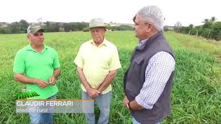 Pequenos agropecuaristas também apostam na Integração Lavoura Pecuária e Floresta Pequenos agropecuaristas também apostam na Integração Lavoura Pecuária e Floresta