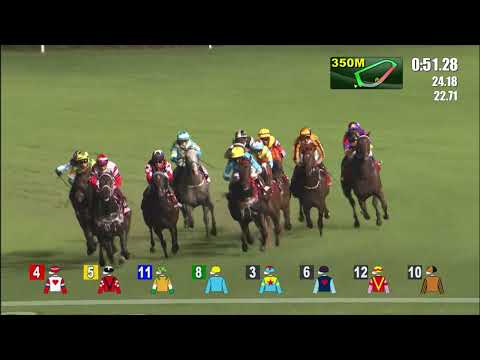 8/9/2021 (18) Decisive Twelve - A Badel