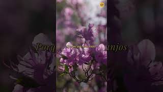 Salmo 91 — Deus é Meu Refúgio e Minha Fortaleza