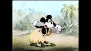 DTV: Annette Funicello - Pineapple Princess