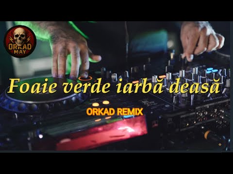 Fărămiță Lambru – Foaie verde iarbă deasă (Lăutărească  EDM Remix)  | Orkad Remix