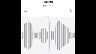 - #駄菓子cOver型 - 透明稼業(feat. 最果タヒ, 崎山蒼志 & 長谷川白紙)/水野良樹