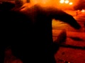 Mike As Snuffleupagus Pt 1 Mp4