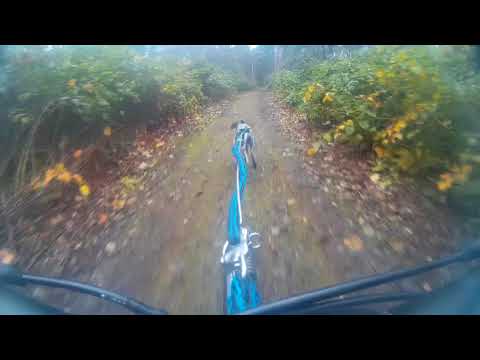 Schlittenhunderennen im Tierpark Ströhen 2017