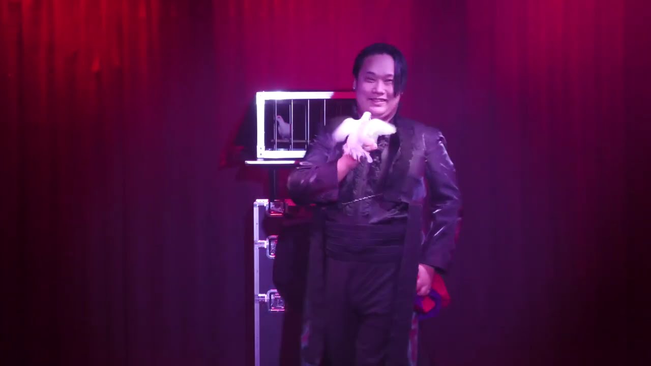 世紀のマジシャン！川村建太🦜マジックショー 手品家博多店【福岡マジックレストラン＆バー】 午後8時30分の回 手品家 博多店 2026年3月26日　著作権の関係で音楽を変えてます。