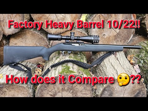 ruger 10/22 tactical solutions