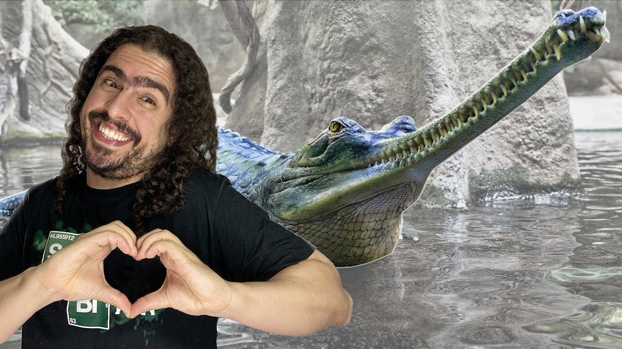 A História da Evolução dos CROCODYLIA (aaahh, o gavial...) (#Pirula 352.3)