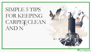 5 Tips for Keeping Carpet Clean and Neat | Best Carpet Cleaning Tips - 2019