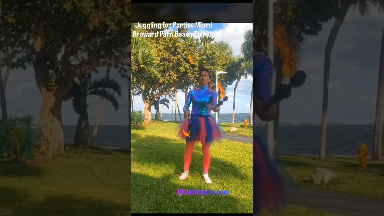 Promotional video thumbnail 6 for VioletaFire