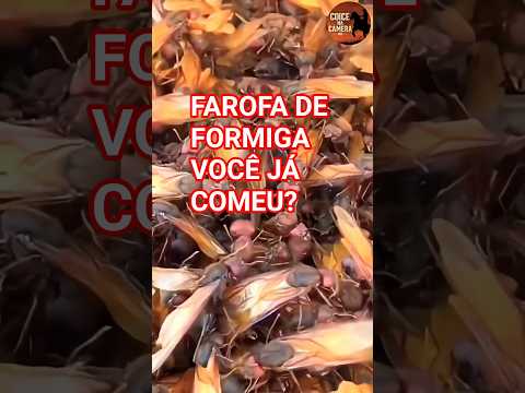 🐜 FAROFA DE IÇÁ 🔥 TRADIÇÃO E SABOR DE ARAÇOIABA DA SERRA SP! 🍴✨#roça #tradição #agro   #tanajura