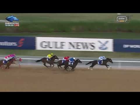 REBEL’S ROMANCE 🇦🇪 — G2 UAE Derby ($750,000)