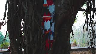 Temple video