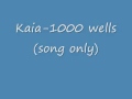 kaia-1000 wells