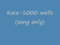 kaia-1000 wells