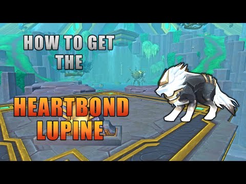 How To Get This Flying Wolf Mount  -  World of Warcraft