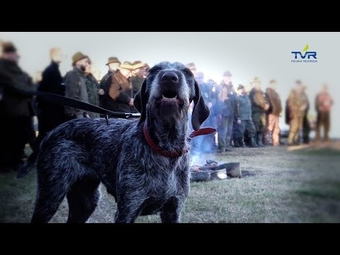 Darz Bór odc. 96 - Puchar Browninga i organizacja festynów