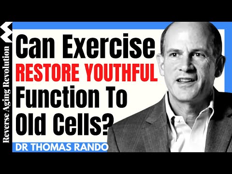 Can Exercise RESTORE YOUTHFUL Function To Old Cells? | Dr Thomas Rando Interview Clips