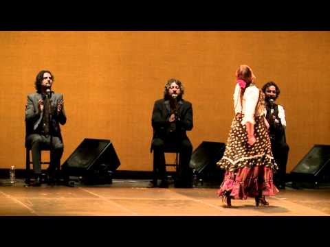 Resumen de la IV Bienal de Arte Flamenco de Málaga