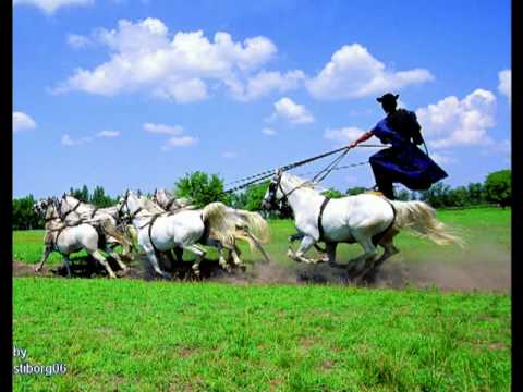 SZIVÁRVÁNY  egyűttes   -  Csinom Palko