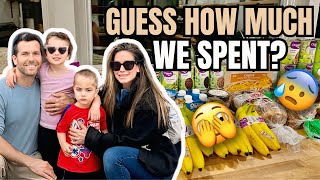 MINI GROCERY HAUL (FAMILY OF 4)