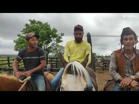 challenge of cattle calls Ygor, Zoinho and Shampoo