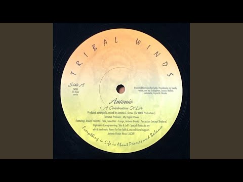 A Celebration of Life (Original Mix)