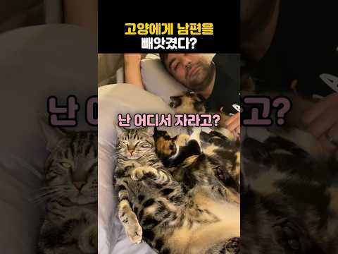 고양이들에게 남편을 빼앗겼다?