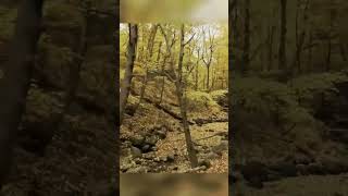 The amazing fall colors @wisconsin,usa