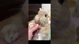 Cute goggle eyes baby 😬❤#shorts #youtube #viralshorts