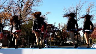 スポーツフェスタ チアイベント③