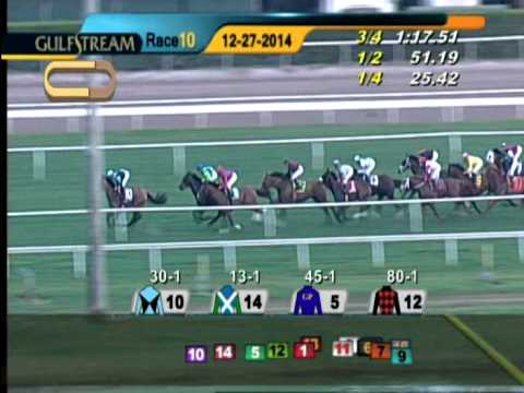 Gulfstream Park Race 10 W.L. McKnight Handicap / December 27, 2014