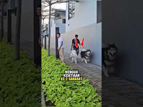 Mereka berpisah selama 6 bulan dan lihatlah apa yang terjadi