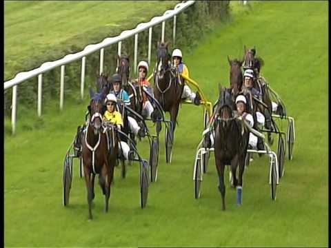 Galopprennbahn Dresden - 04.09.2016 - 1.Rennen