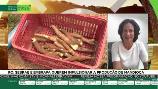 Miniatura do vídeo
