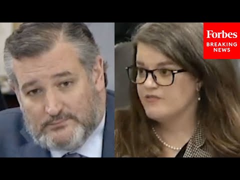 'Does It Concern You When Federal Judges Are Having Their Votes Stolen?': Cruz Grills Dem State AG