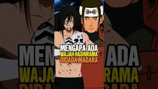 Download lagu Kenapa ada wajah hashirama di dada madara #naruto #animeindo mp3