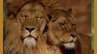 For the Good Times -cover